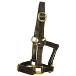 Minature Leather Halter Brass