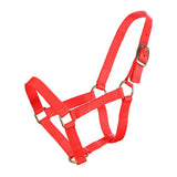 Piccolo Mini Horse PP Halter