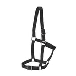 Rancher - Stable Halter - 2 Buckle