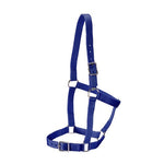 Rancher - Stable Halter - 2 Buckle