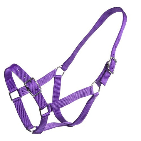 Rancher - Stable Halter - 2 Buckle