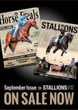 Horse Deals Magazine