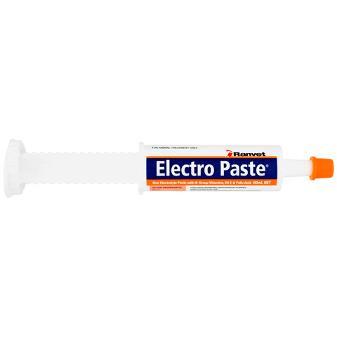 Ranvet - Electro (Electrolyte) Paste 60ml