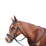 Showcraft - Silver Clinch Havoverian Bridle