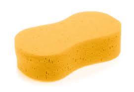 Jumbo Sponge