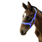 Showcraft - Foal Nylon Headstall