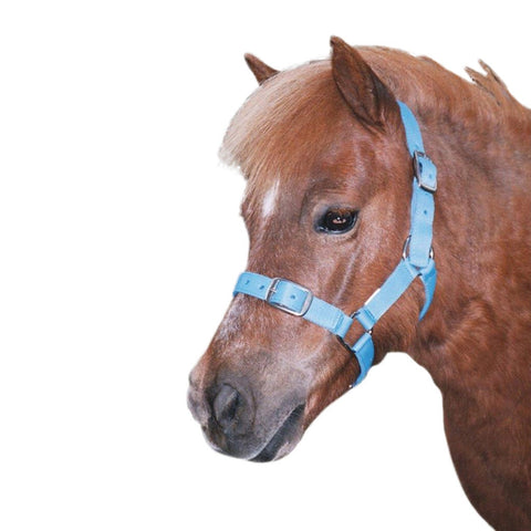 Eureka - Buckle Halter - Pony