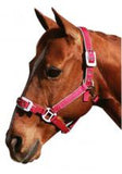 Deluxe Padded Headstall