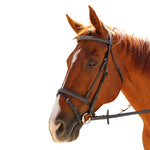 Showcraft - Cassidy Hanoverian Bridle