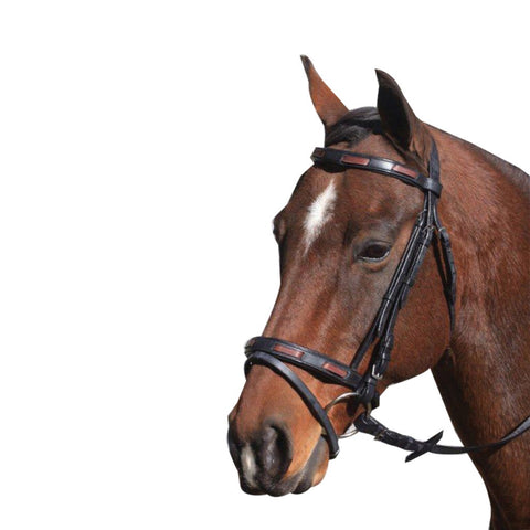 Mcalister - Contrast Hanoverian Bridle