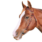 Showcraft - PVC Barcoo Bridle