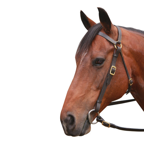 Eureka - Brass Barcoo Bridle