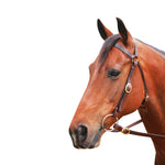 Showcraft - Brass Barcoo 3/4 Bridle