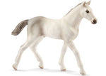 Schleich - Holsteiner Foal